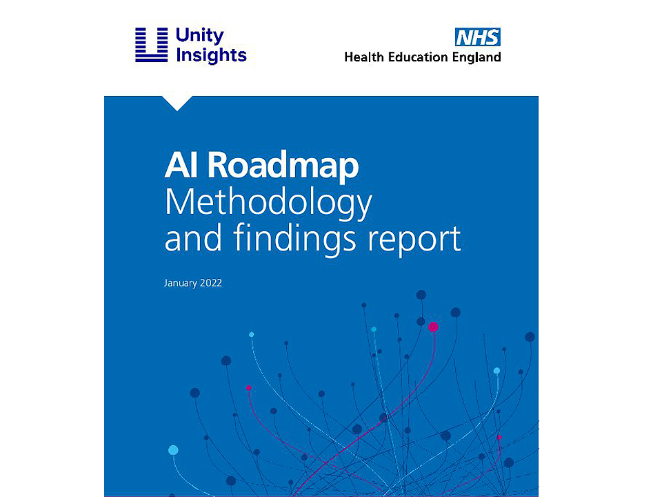 AI Roadmap Methodology and findings report