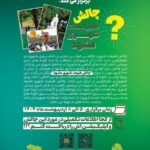 چالش طبیعت شهری مشهد